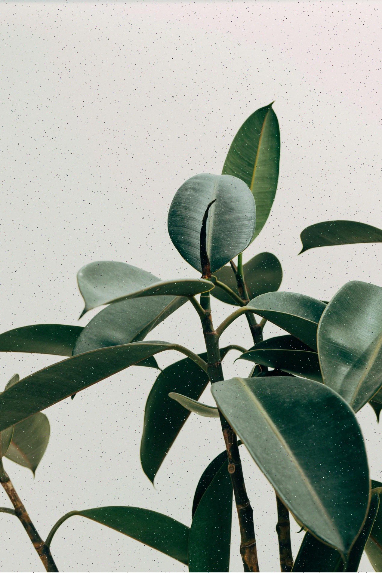 Sustainable materials